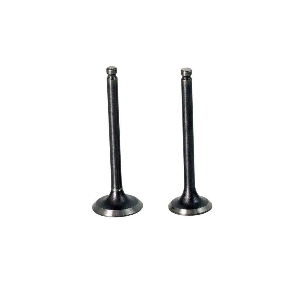 VALVULAS DE COMBUSTION CBF 150 - imagen 1